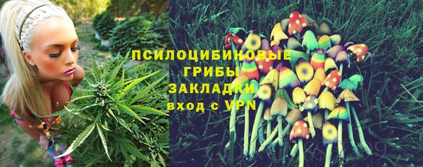 таблы Бронницы