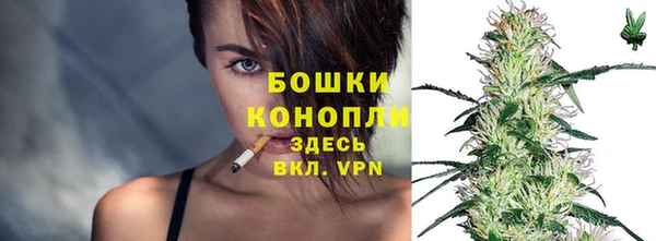 ешки Вяземский