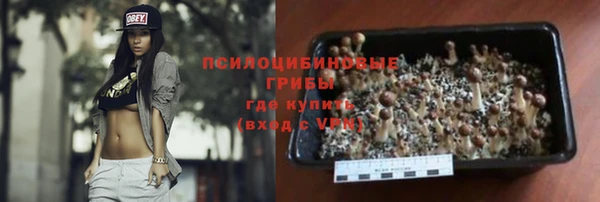 ешки Вяземский