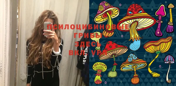 ешки Вяземский