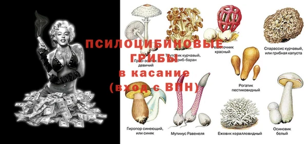 ешки Вяземский
