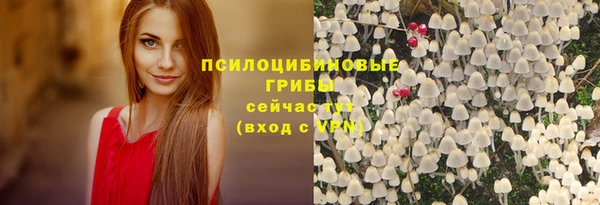 ешки Вяземский