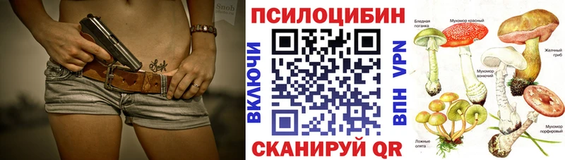 хочу Монино Псилоцибиновые грибы Psilocybine cubensis